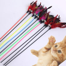 Load image into Gallery viewer, 1PCS Hot Sale Cat Toys