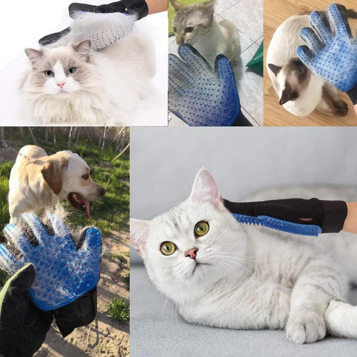 Pet Glove
